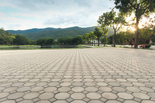 Best Affordable Driveway Pavers  in Lutz, FL