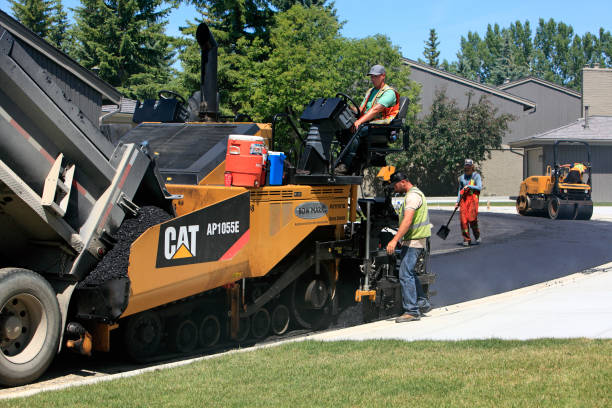 Best Commercial Driveway Pavers  in Lutz, FL